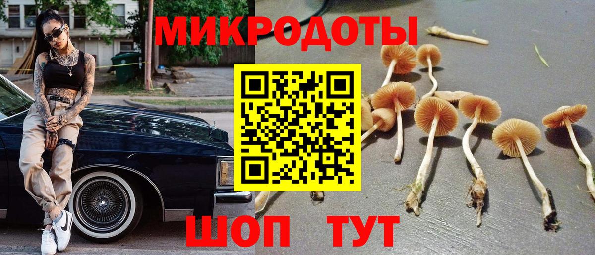 Псилоцибиновые грибы Cubensis Заводоуковск